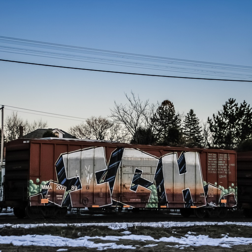 12. Ich Pierre Quinn Freight Train Graffiti Photography