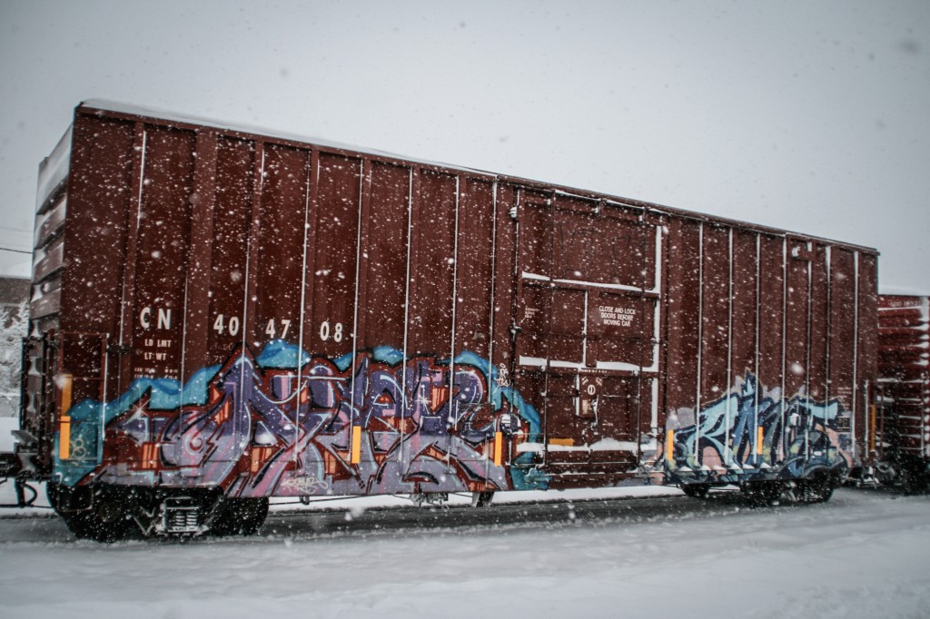 8. Afex Rove Pierre Quinn Freight Train Graffiti Photography