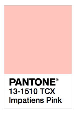 Pantone Impatiens Pink