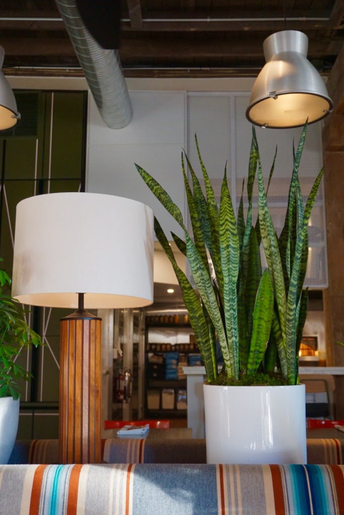 The Bridgette Bar plants and lamps